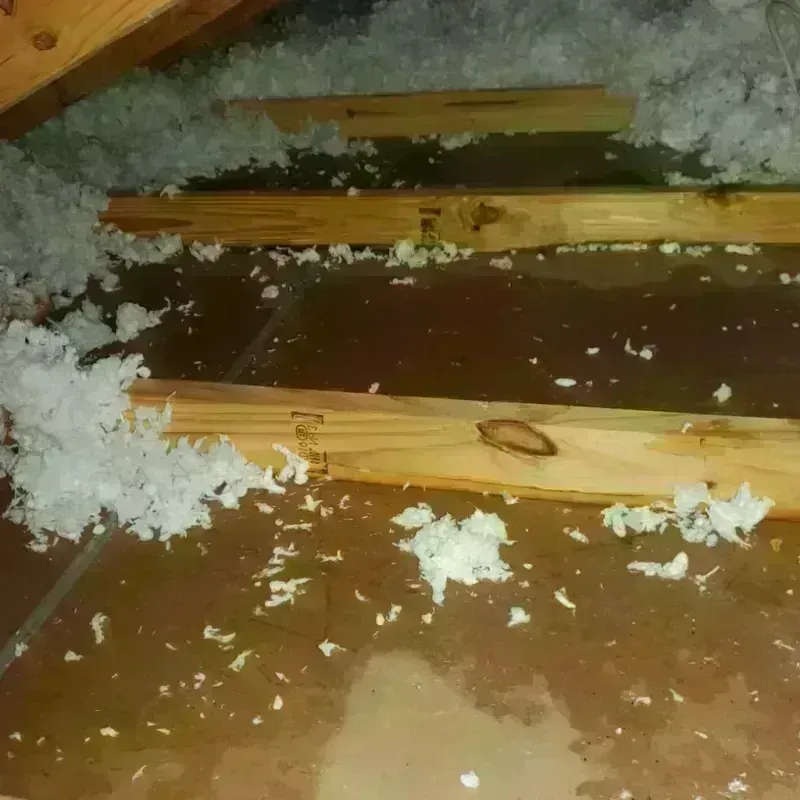 Attic Water Damage in Cass County, MI