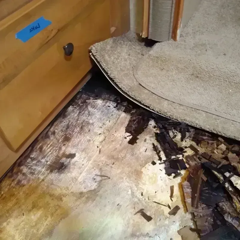 Wood Floor Water Damage in Cass County, MI